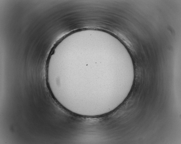 X0000116790848200912311915