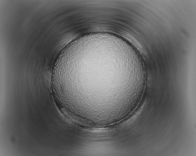 X0000116790849200912311915