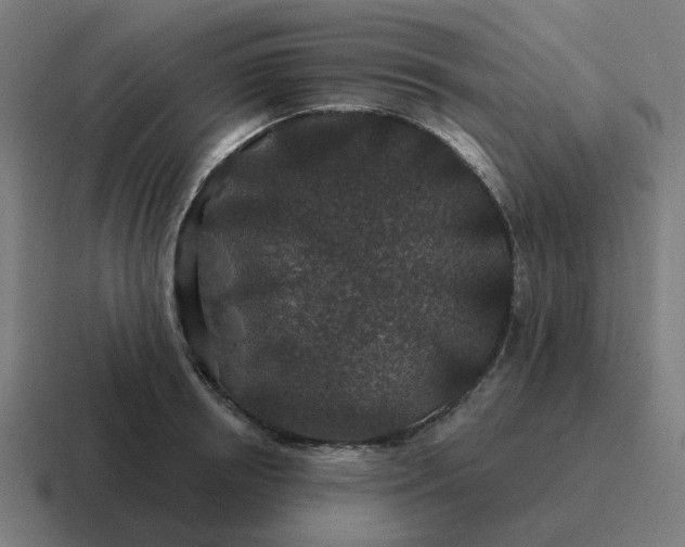 X0000116790850200912311915