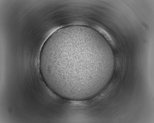 X0000116790852200912311915