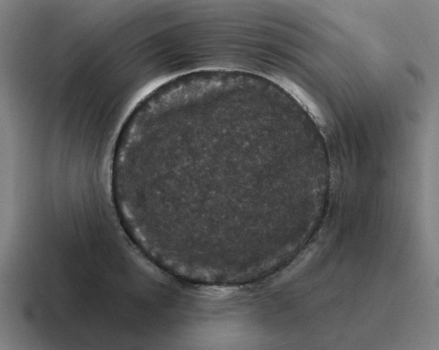 X0000116790854200912311915