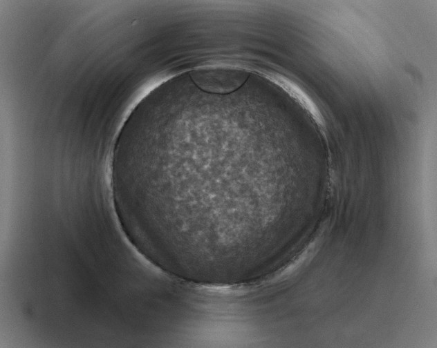 X0000116790855200912311915