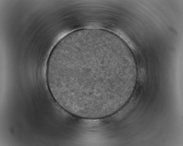 X0000116790856200912311915