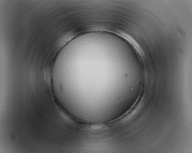 X0000116790857200912311915