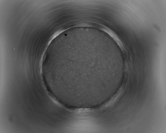 X0000116790858200912311915