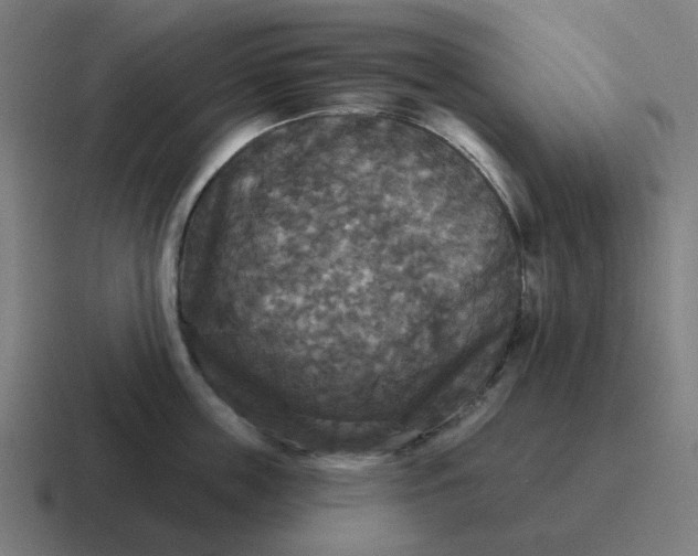 X0000116790859200912311915