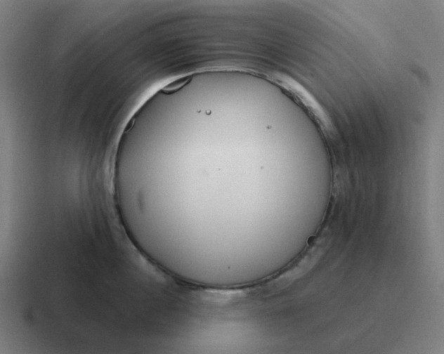 X0000116790860200912311915