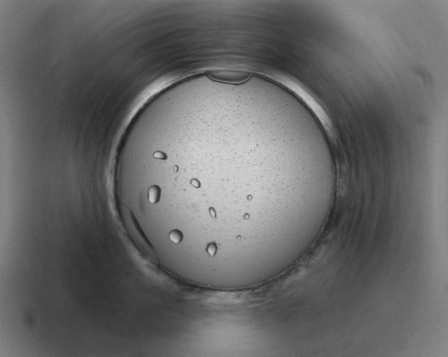 X0000116790861200912311915