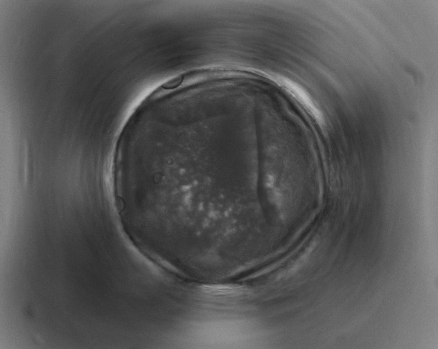 X0000116790863200912311915