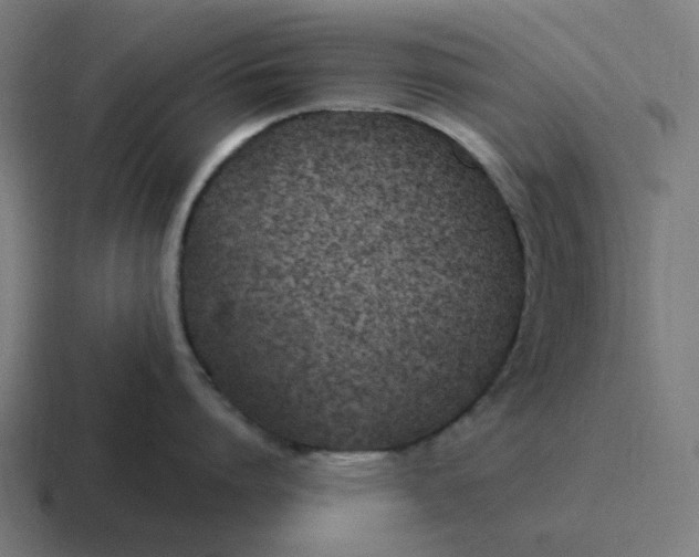 X0000116790864200912311915