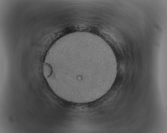 X0000116790865200912311915