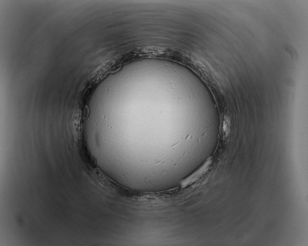 X0000116790867200912311915