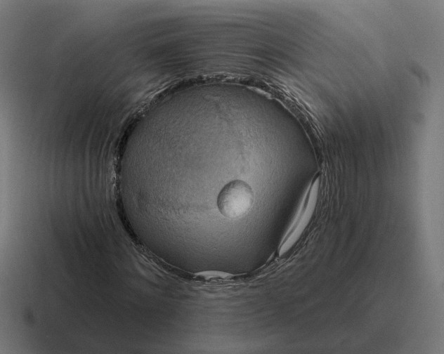 X0000116790868200912311915