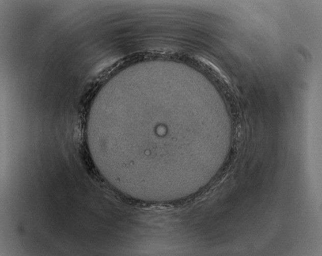 X0000116790869200912311915