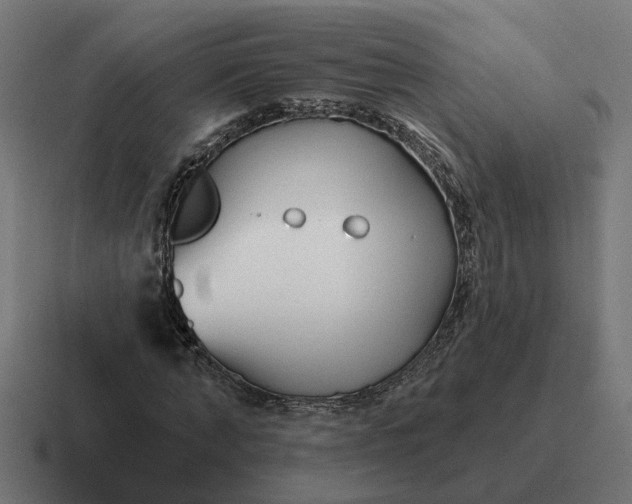 X0000116790870200912311915