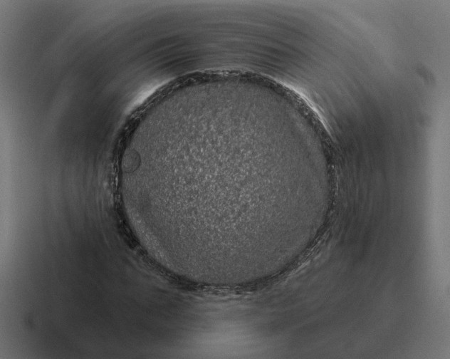 X0000116790871200912311915