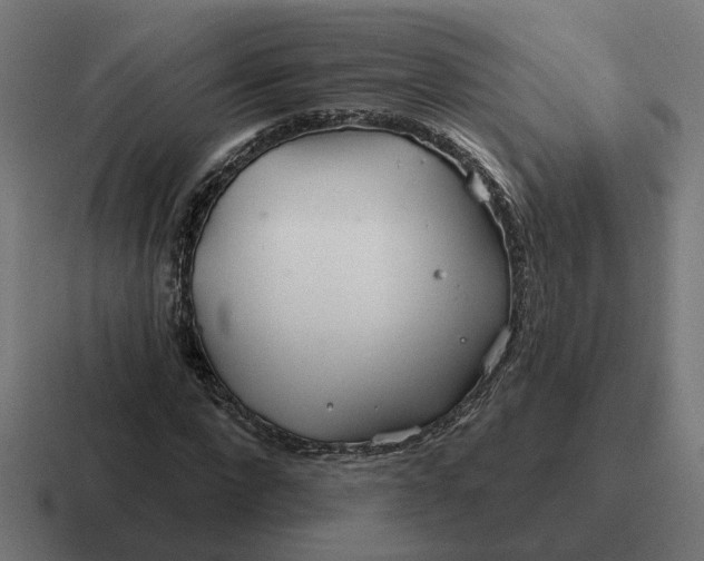 X0000116790872200912311915