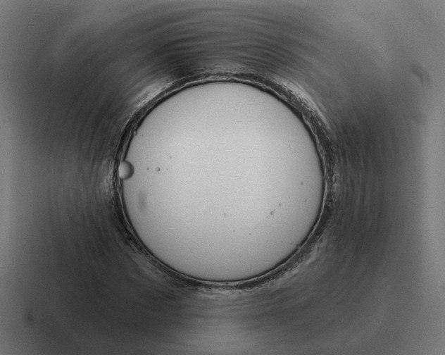 X0000116790873200912311915