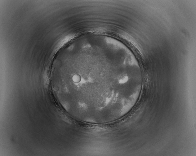 X0000116790874200912311915