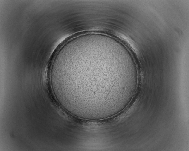 X0000116790875200912311915