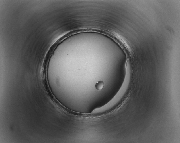 X0000116790876200912311915