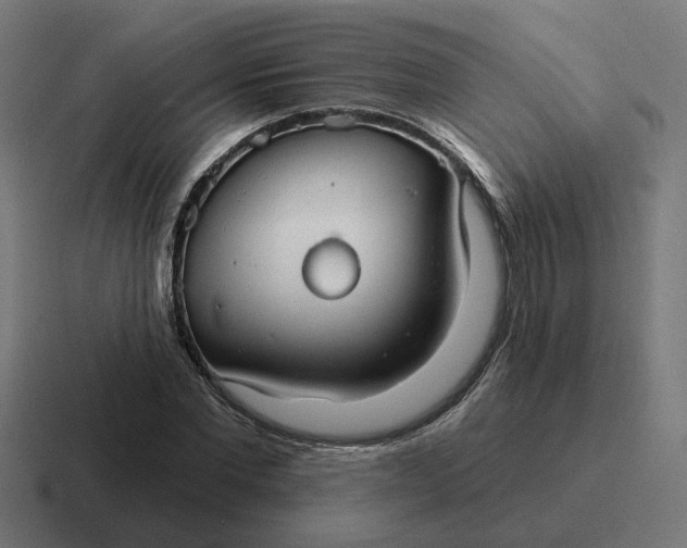 X0000116790877200912311915