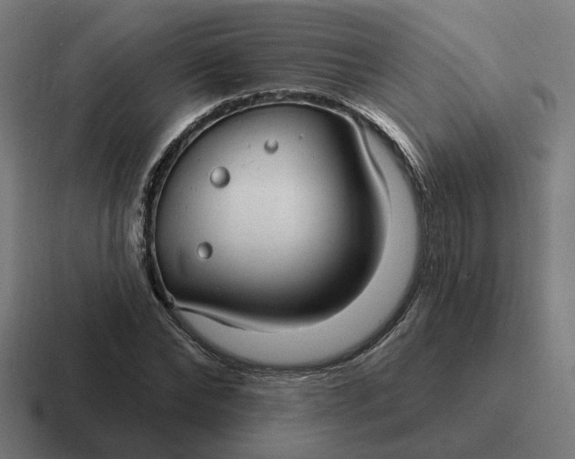 X0000116790878200912311915