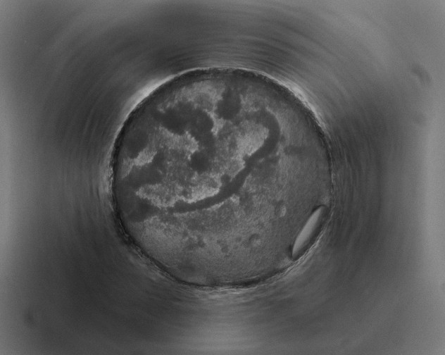 X0000116790879200912311915