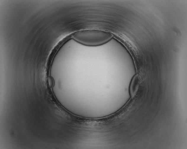 X0000116790880200912311915