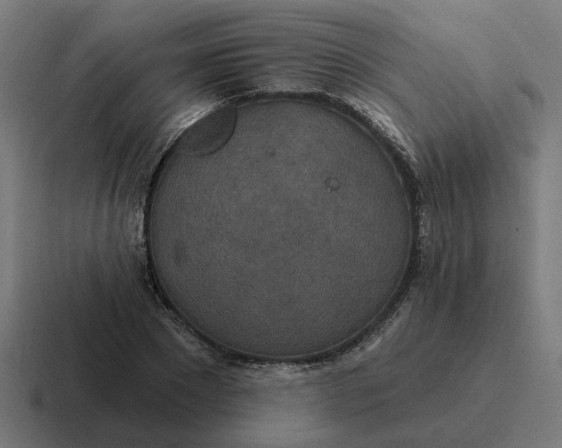 X0000116790881200912311915