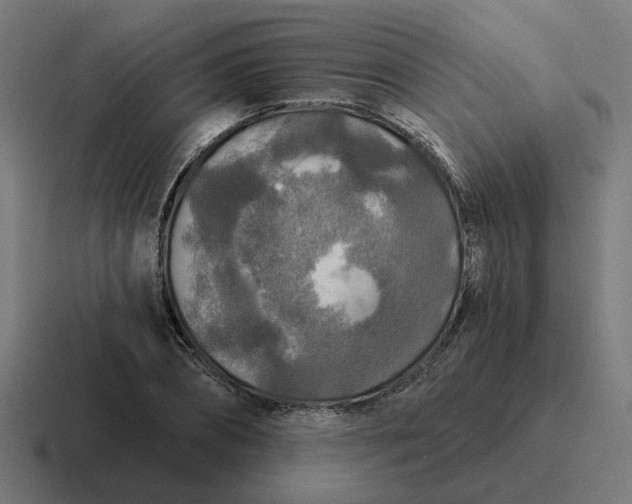 X0000116790882200912311915