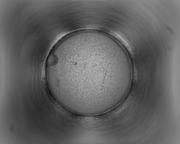 X0000116790883200912311915