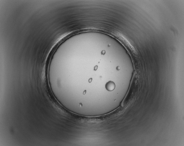 X0000116790884200912311915