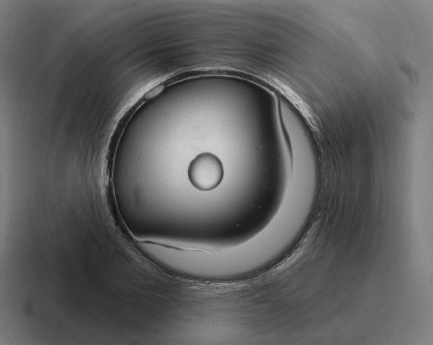 X0000116790885200912311915