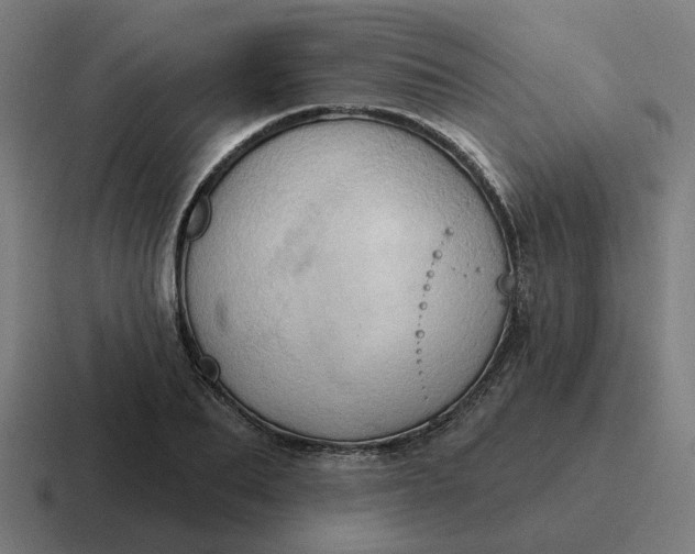 X0000116790887200912311915