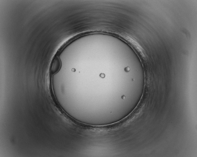 X0000116790888200912311914