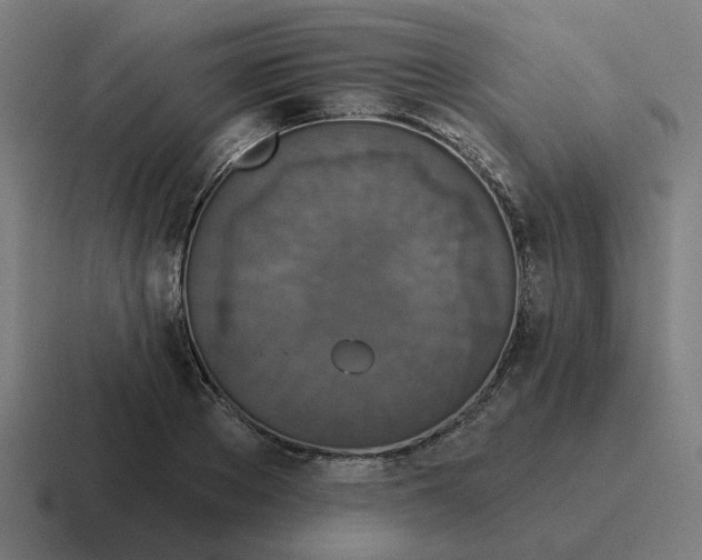 X0000116790889200912311914