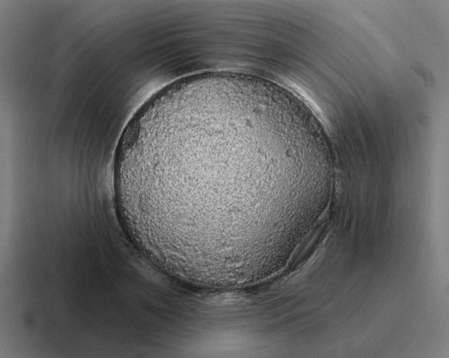 X0000116790891200912311914