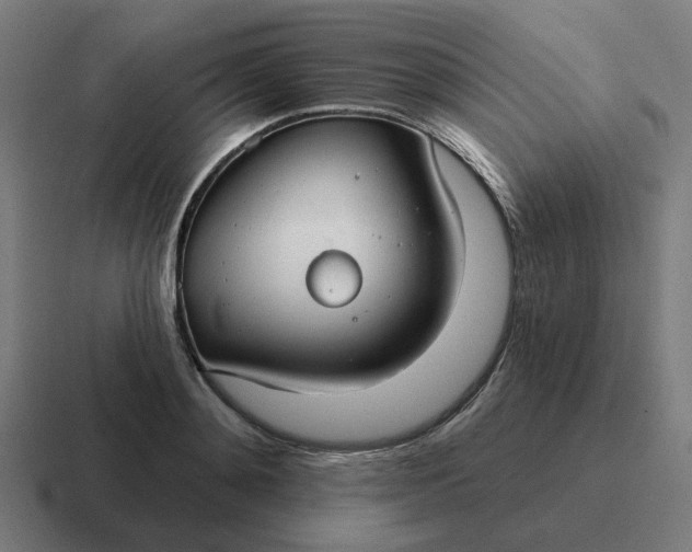 X0000116790892200912311914