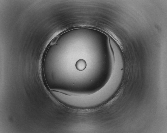 X0000116790893200912311914