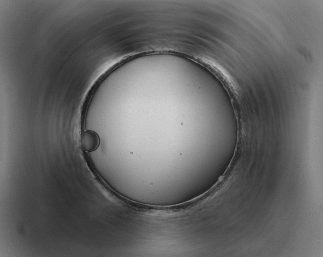 X0000116790894200912311914