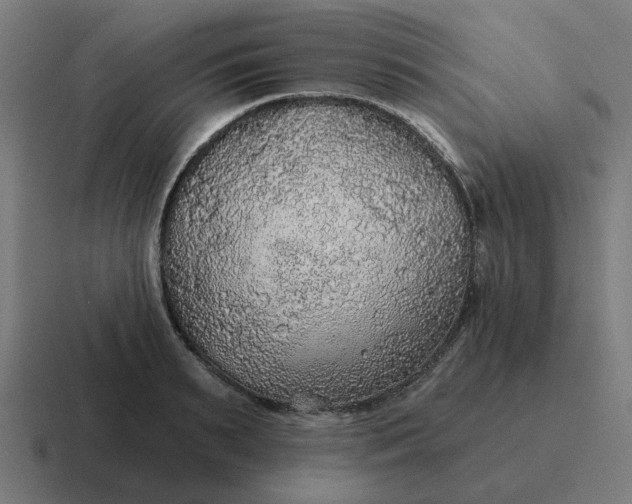 X0000116790895200912311914