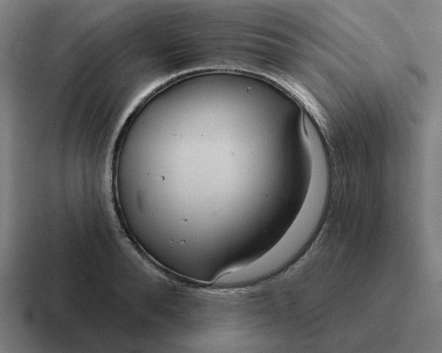 X0000116790896200912311914