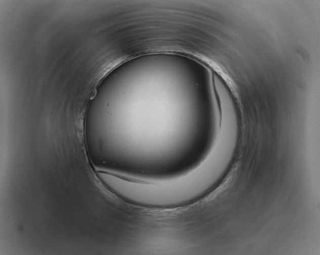 X0000116790897200912311914