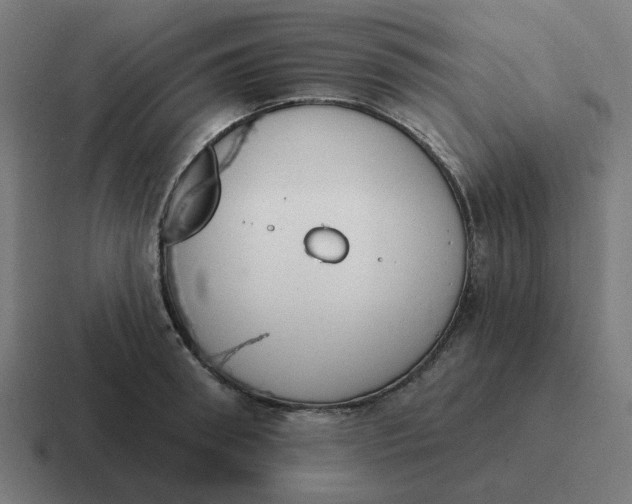 X0000116790898200912311914