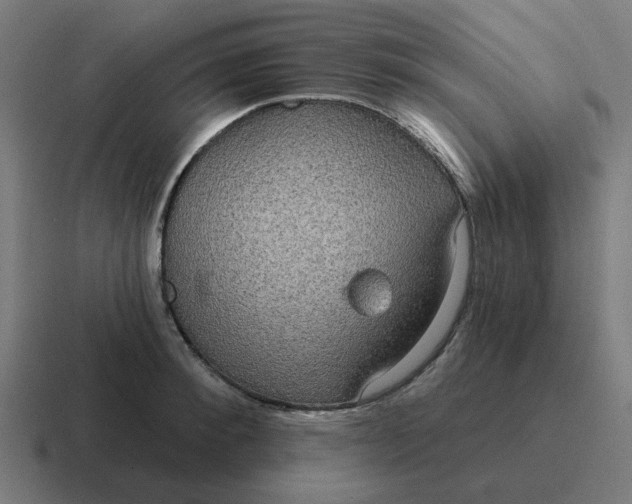 X0000116790900200912311914