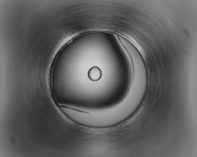 X0000116790901200912311914