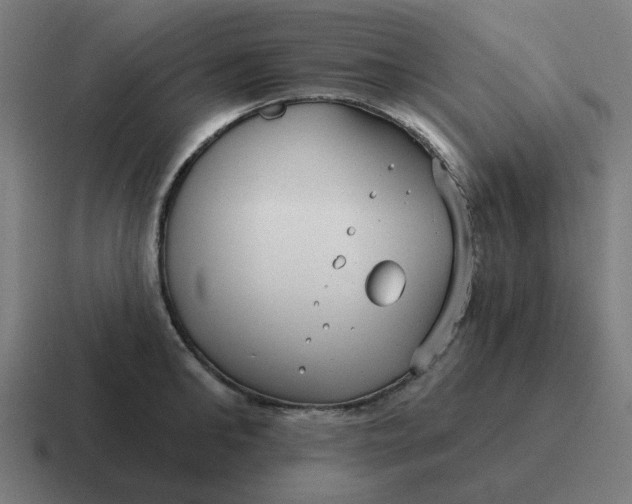 X0000116790902200912311914