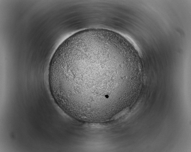 X0000116790903200912311914