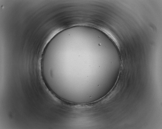 X0000116790906200912311914